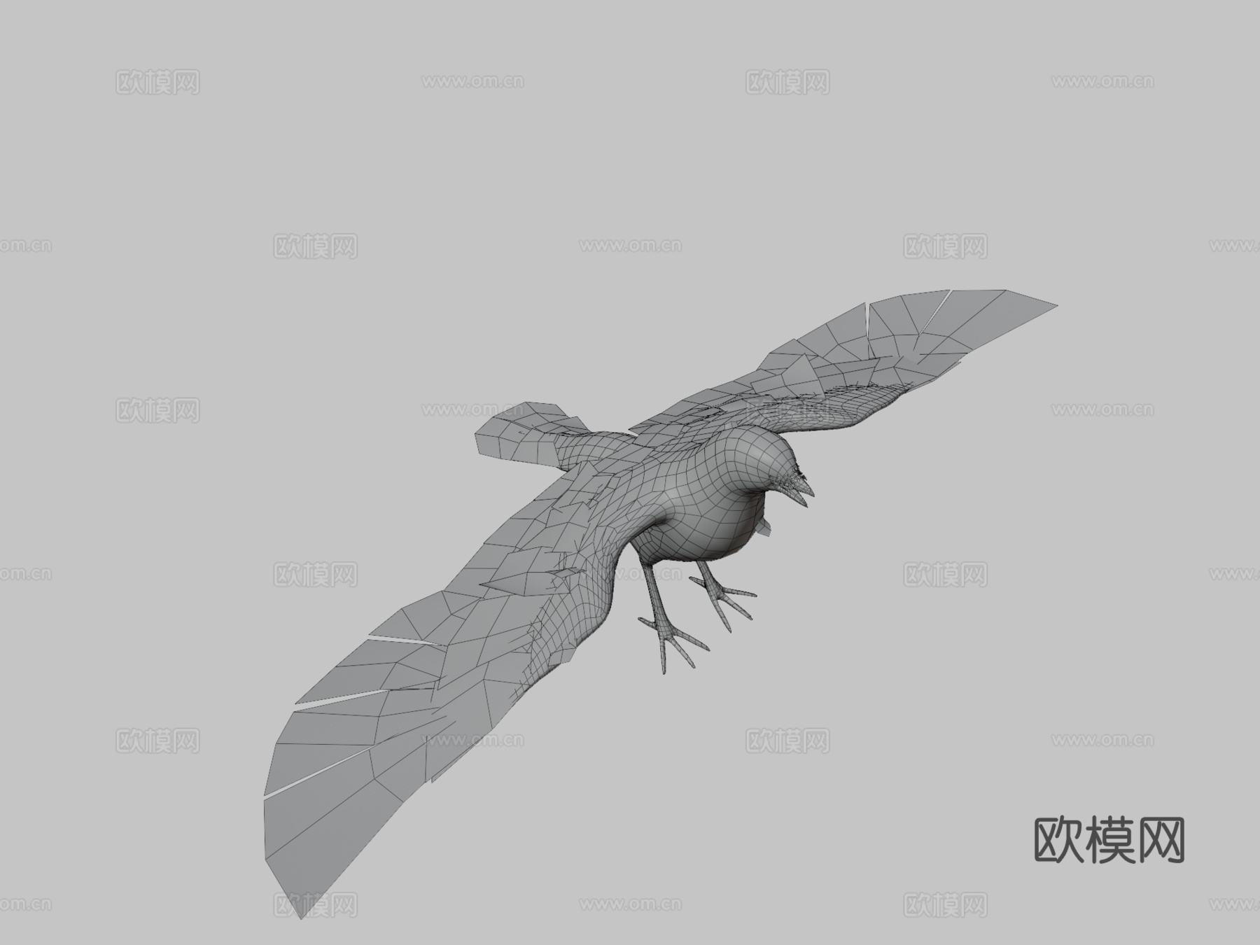 逼真鸟3d模型
