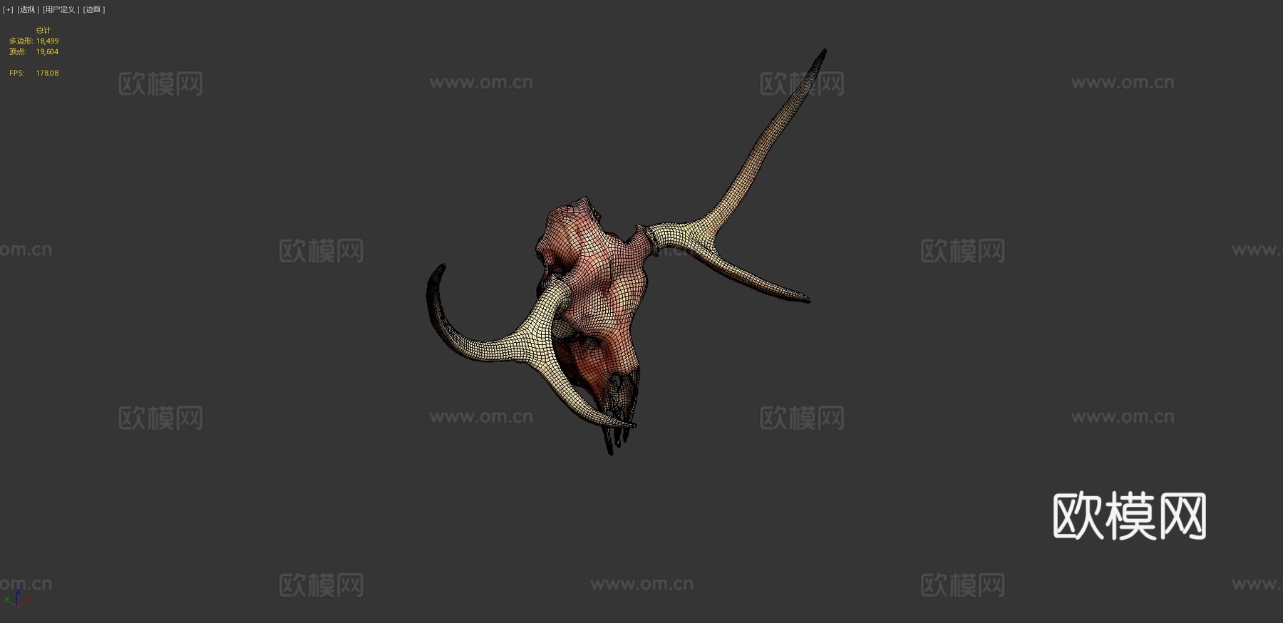 鹿头骨-照片扫描3d模型