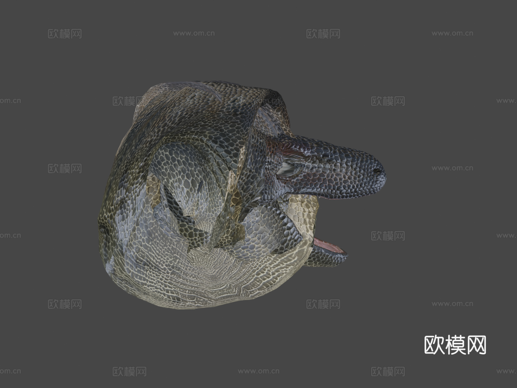古巨蜥3d模型