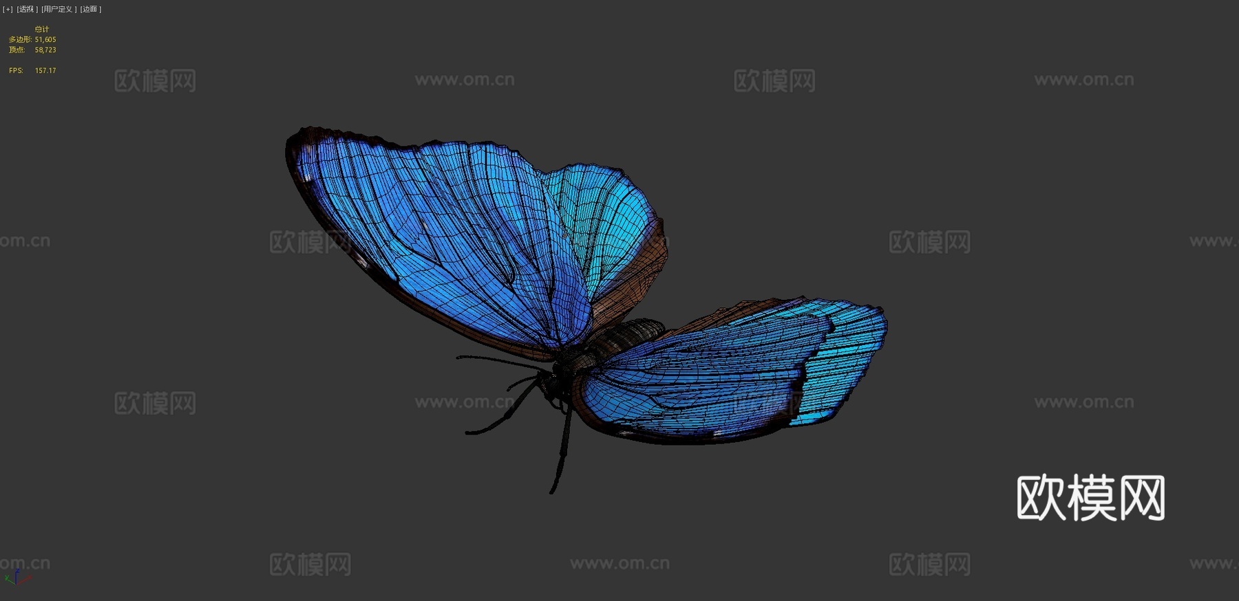 蝴蝶3d模型