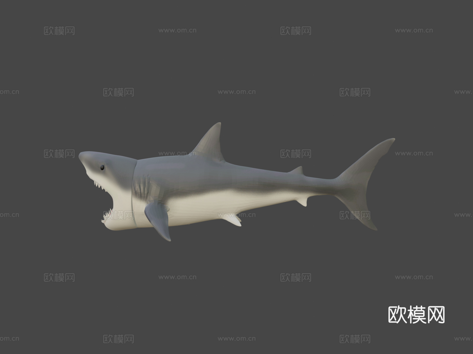 大白鲨3D模型3d模型