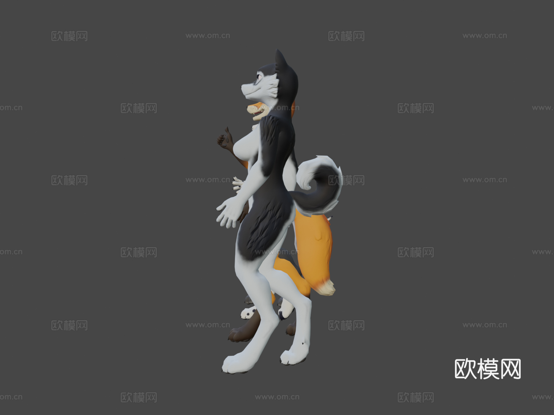 库达的犬齿-VRChat模型3d模型