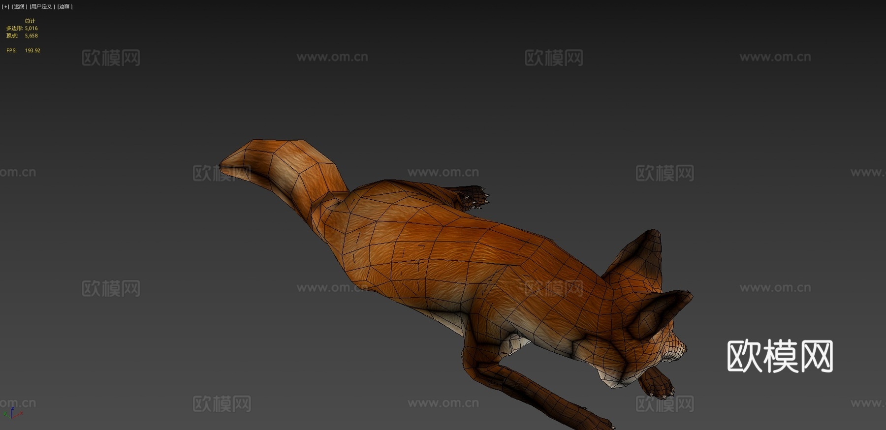 狐狸3d模型