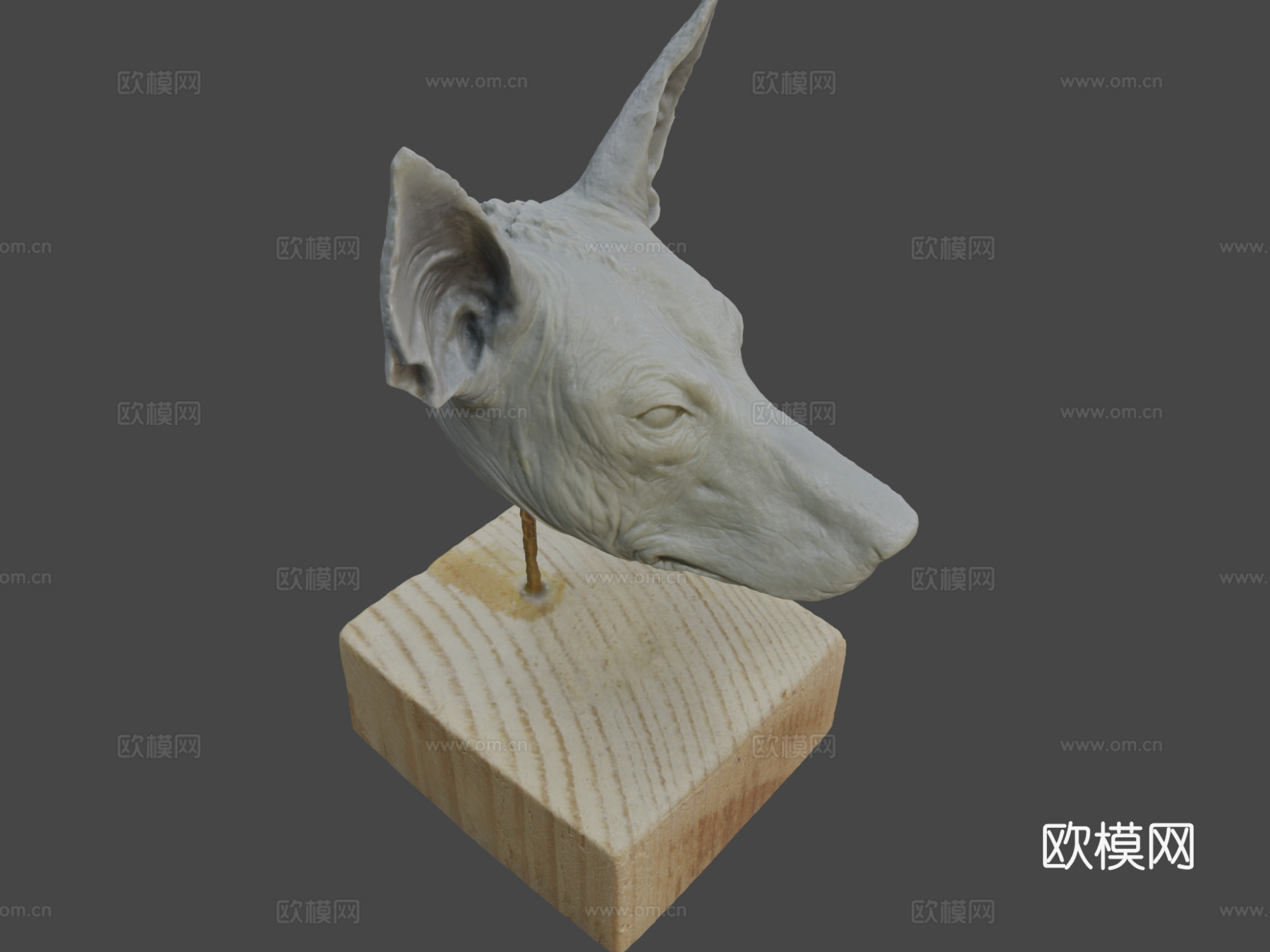 艾伦·卡拉斯科的狗头3d模型