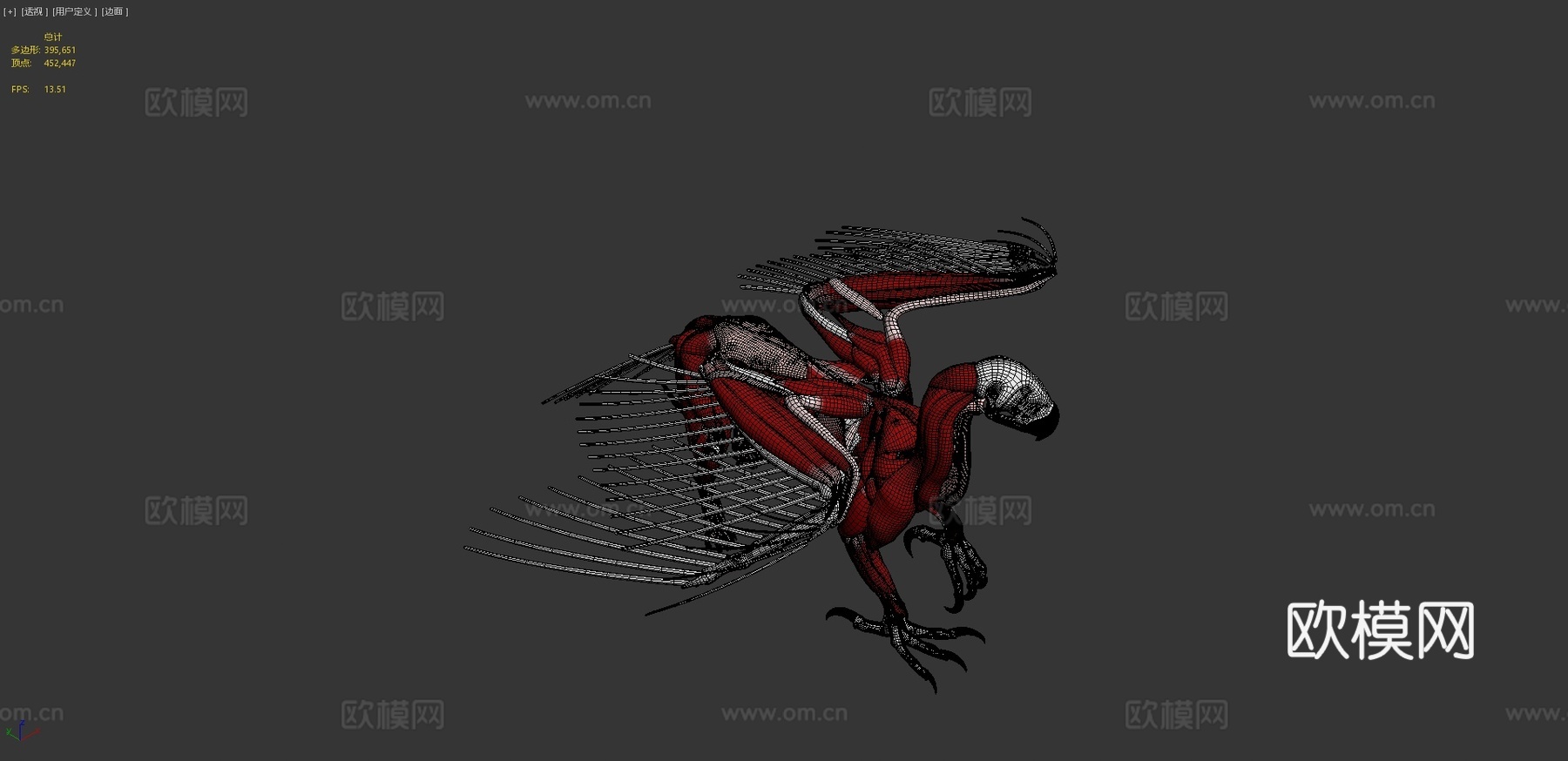 狮鹫解剖3d模型