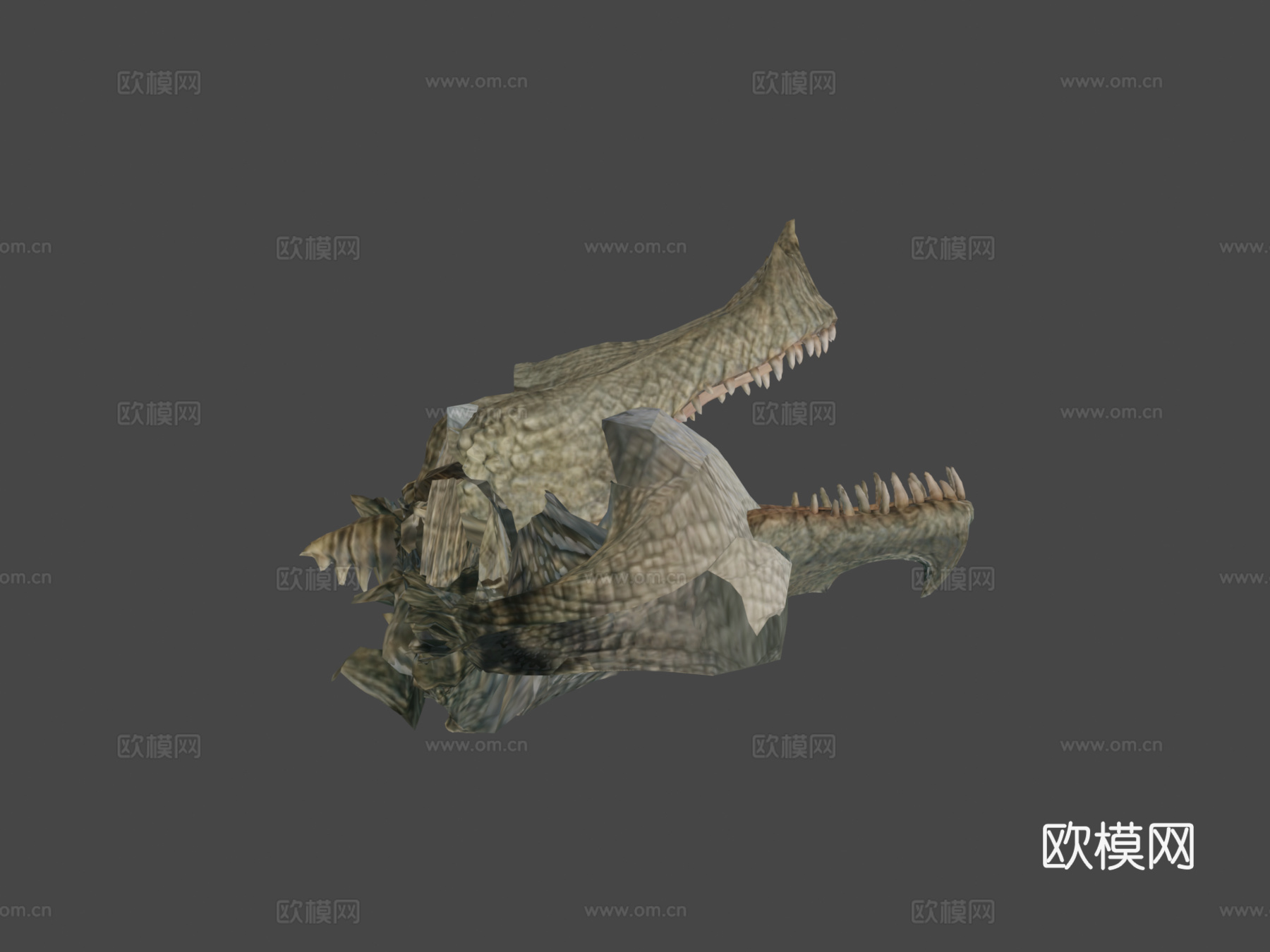 直立行走的鳄鱼3d模型