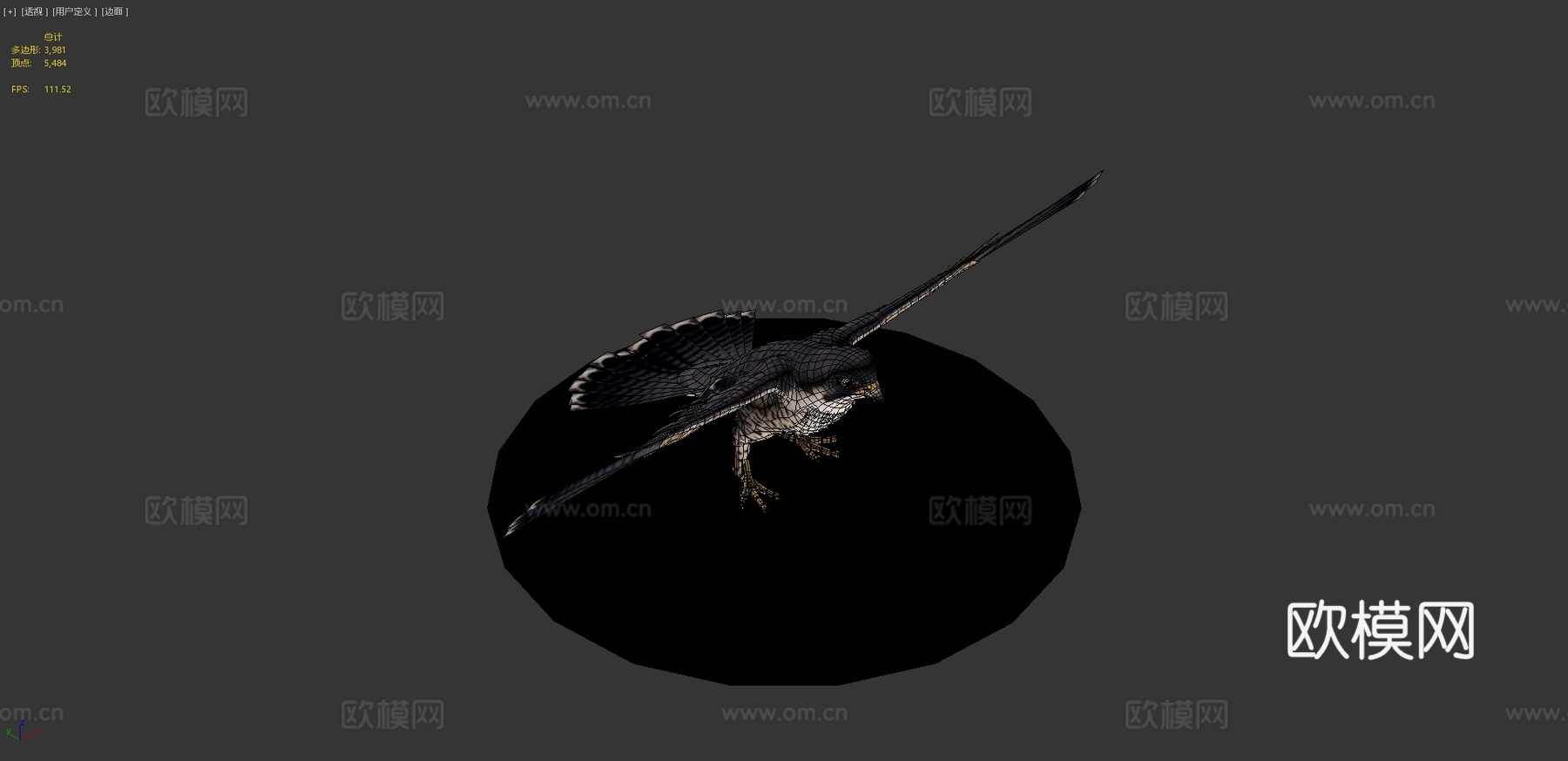 游隼3d模型