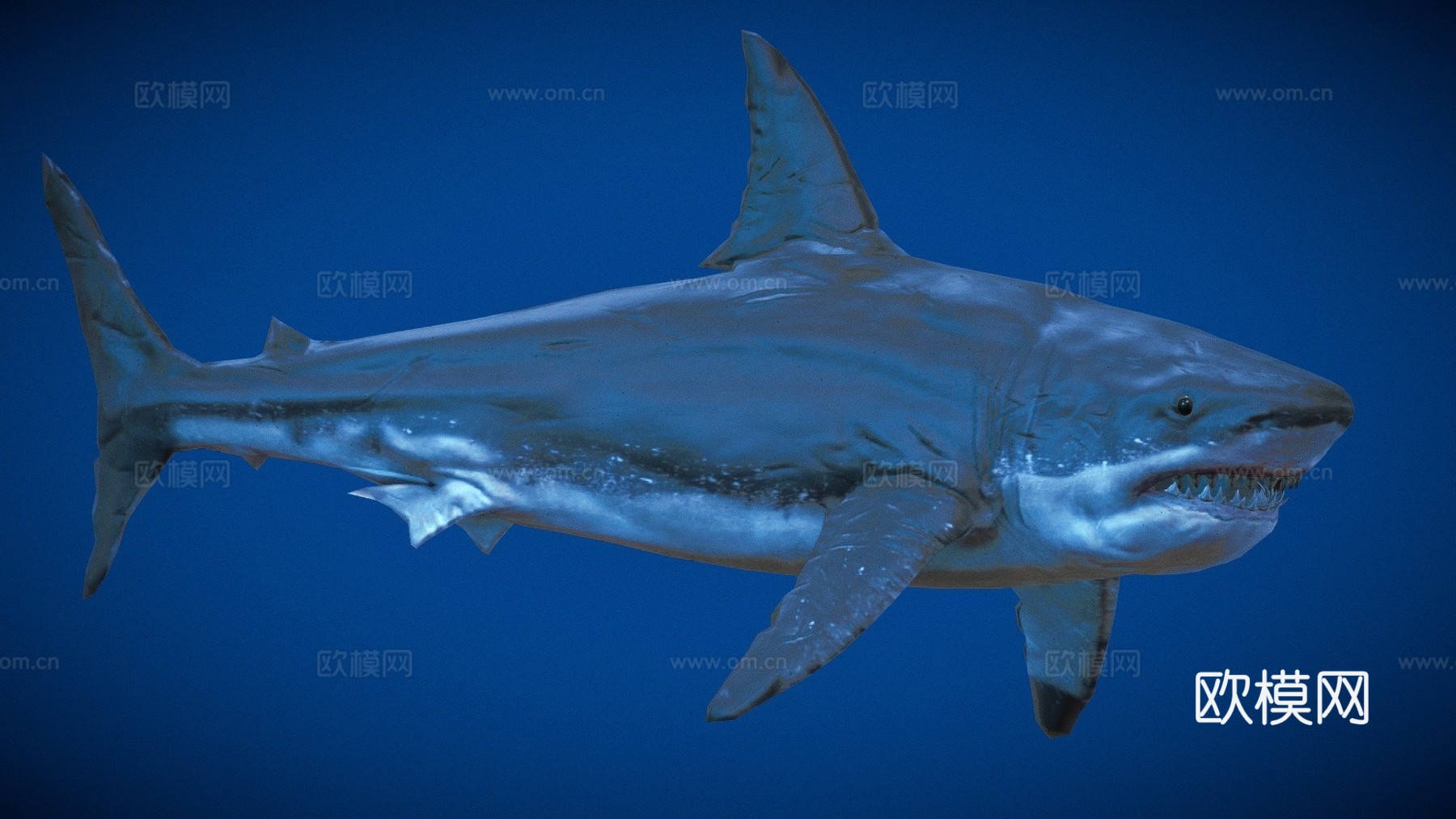 强大巨齿鲨3d模型
