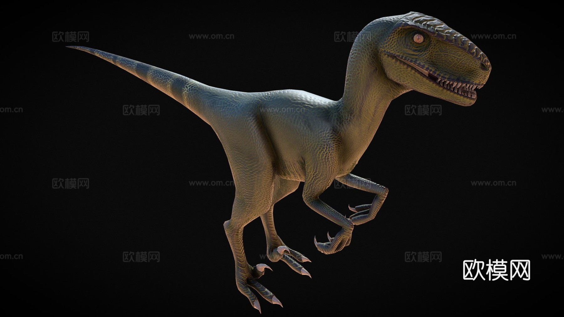 恐龙3d模型