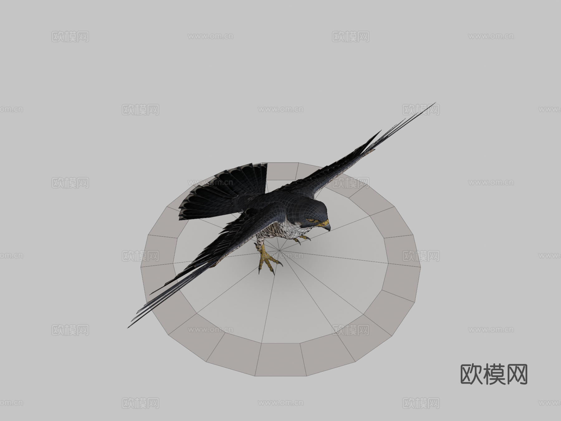 游隼3d模型
