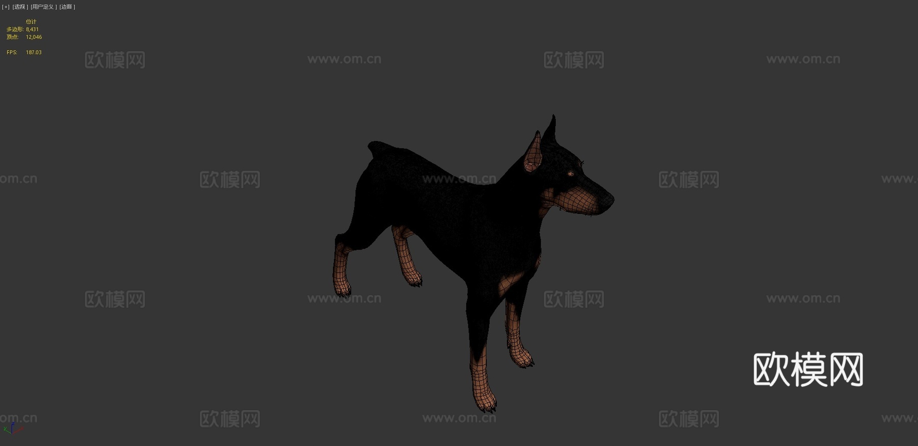 杜宾犬3d模型