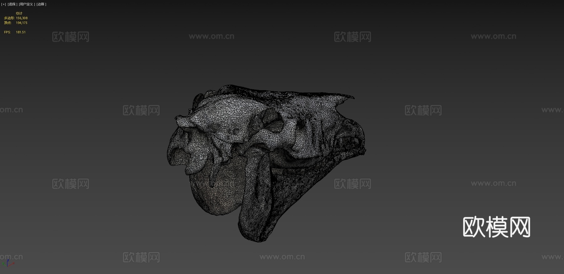 马头骨-马头骨3d模型