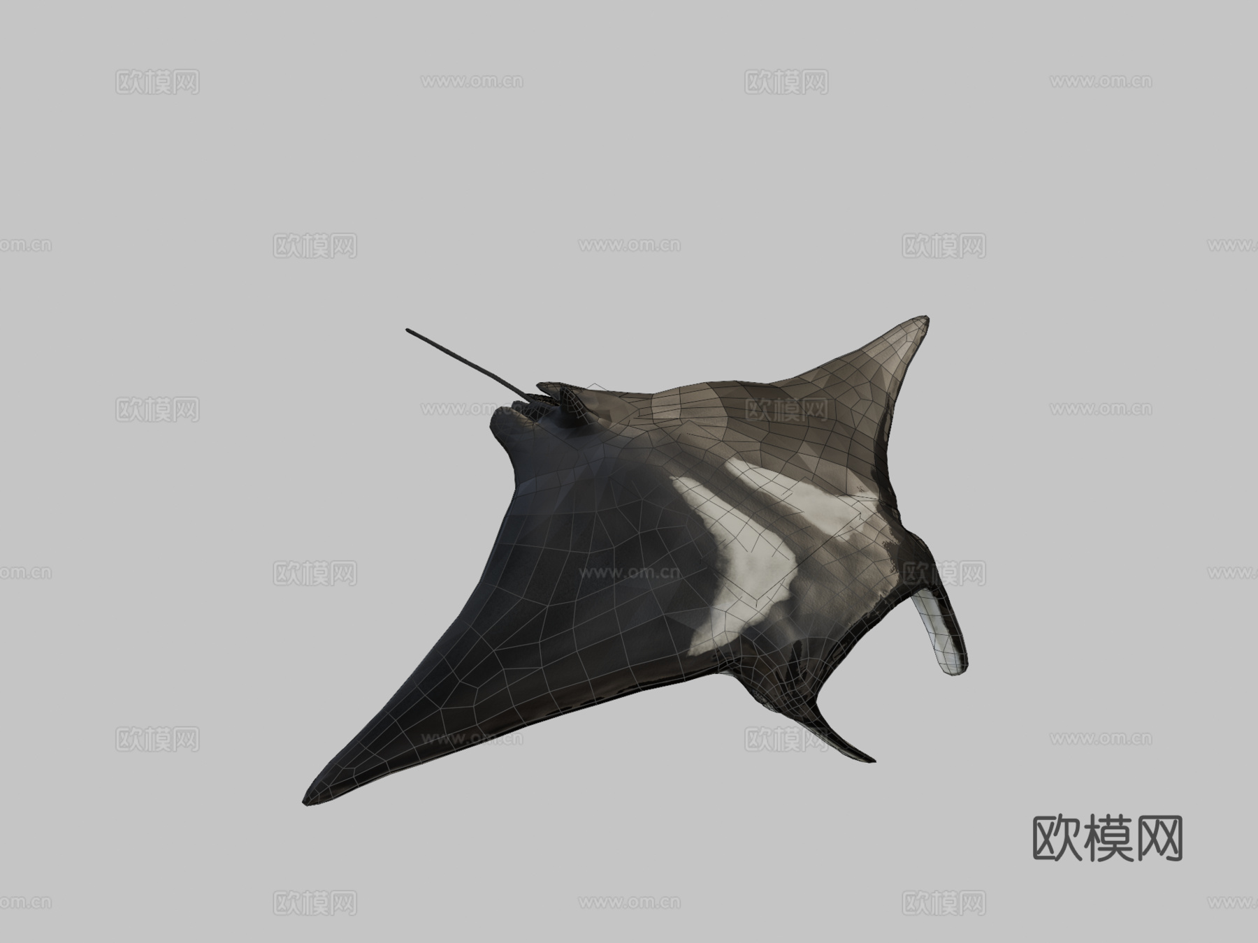 蝠鲼3d模型