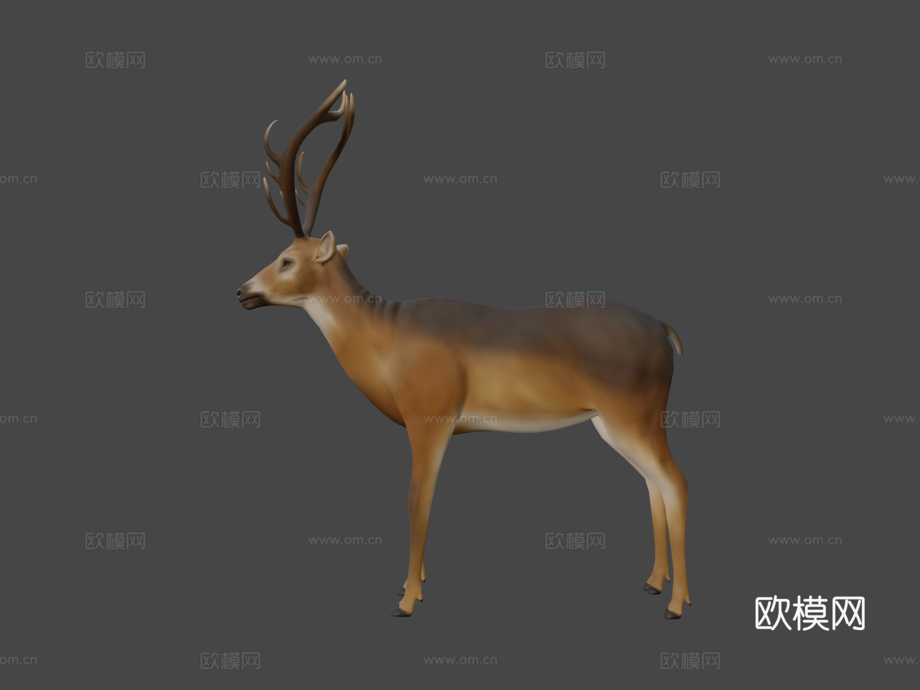 鹿全身3d模型