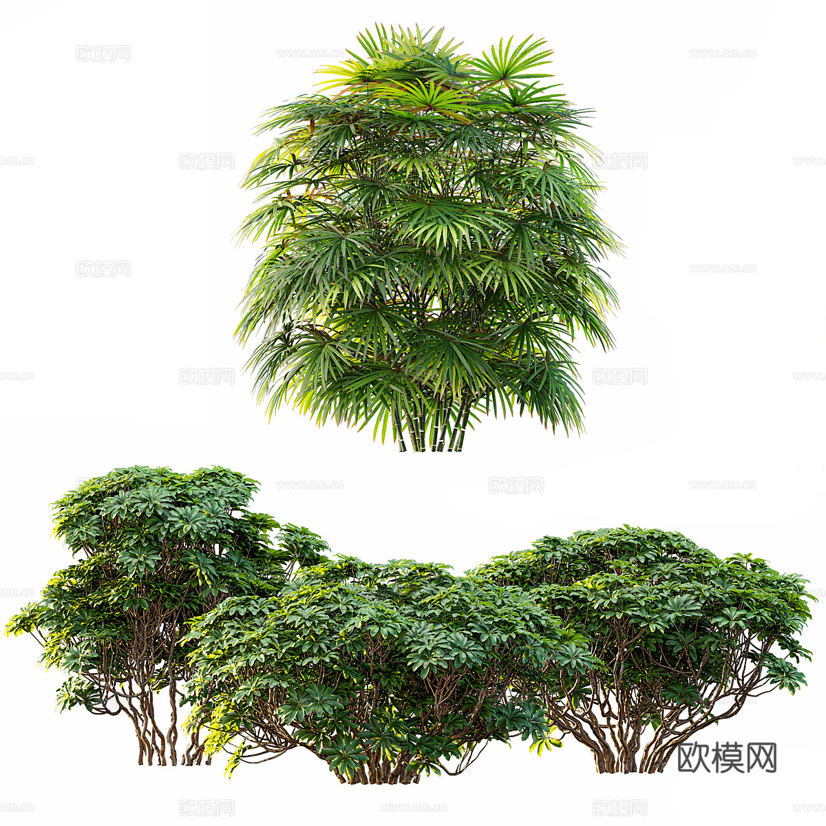 现代灌木 景观树3d模型