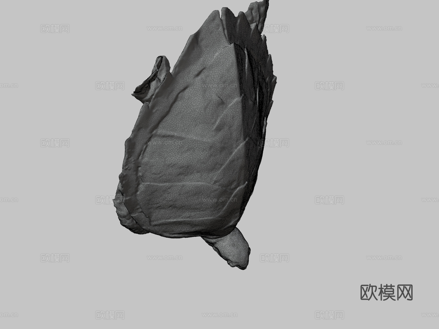 玳瑁海龟3d模型
