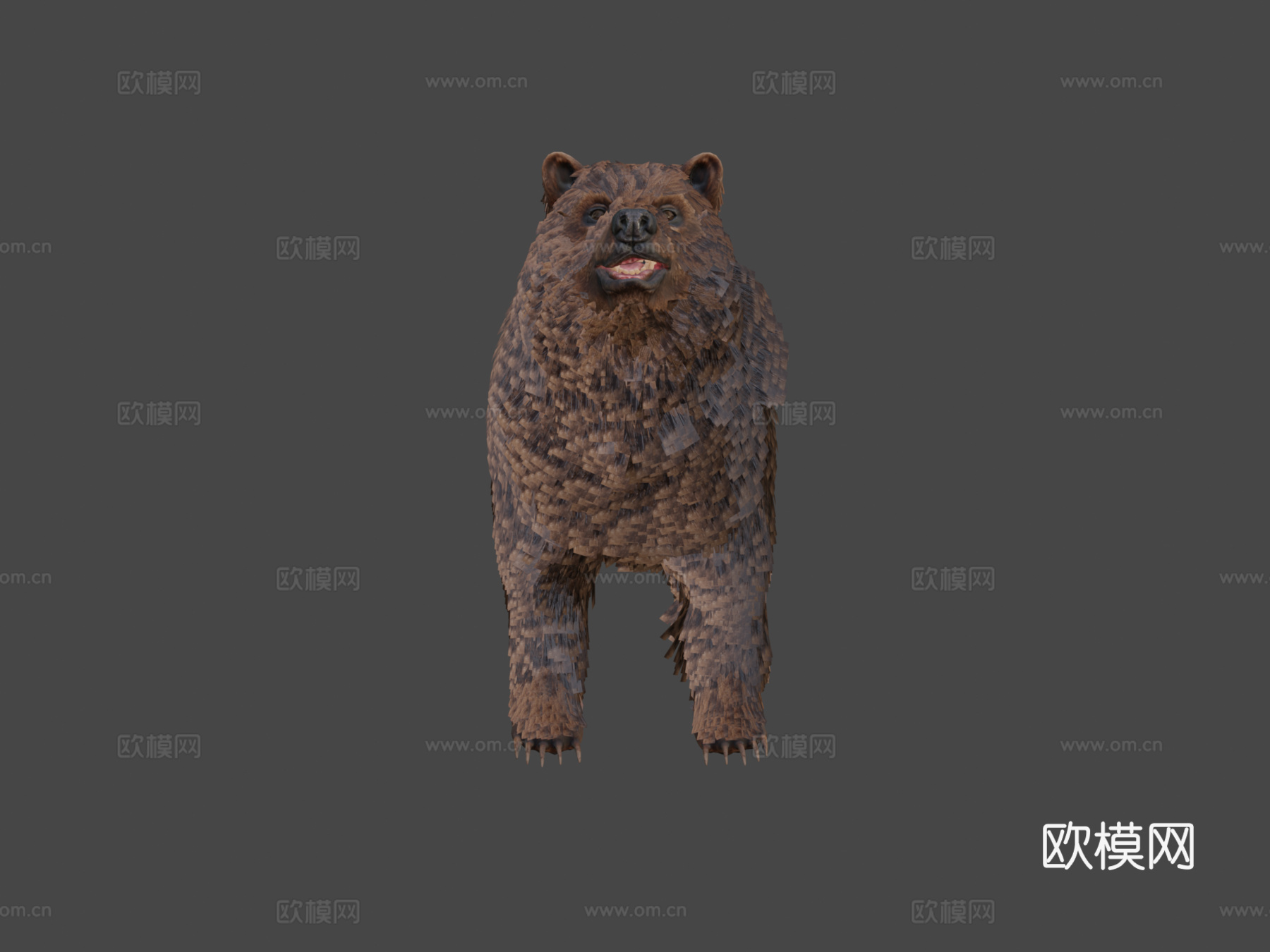 毛绒熊3d模型