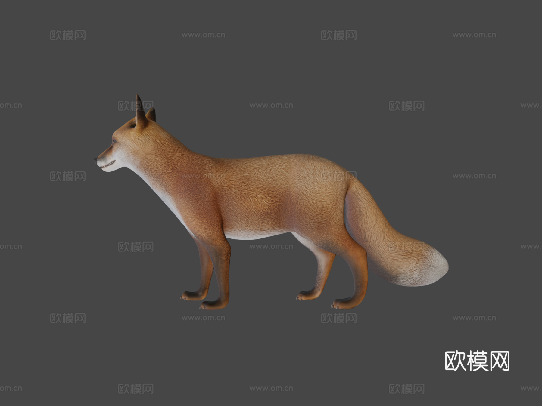 狐狸待机3d模型