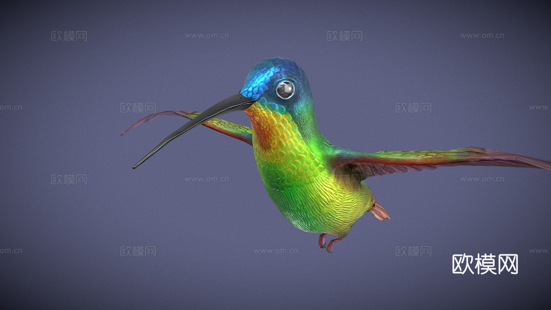 动画悬停飞行蜂鸟循环3d模型