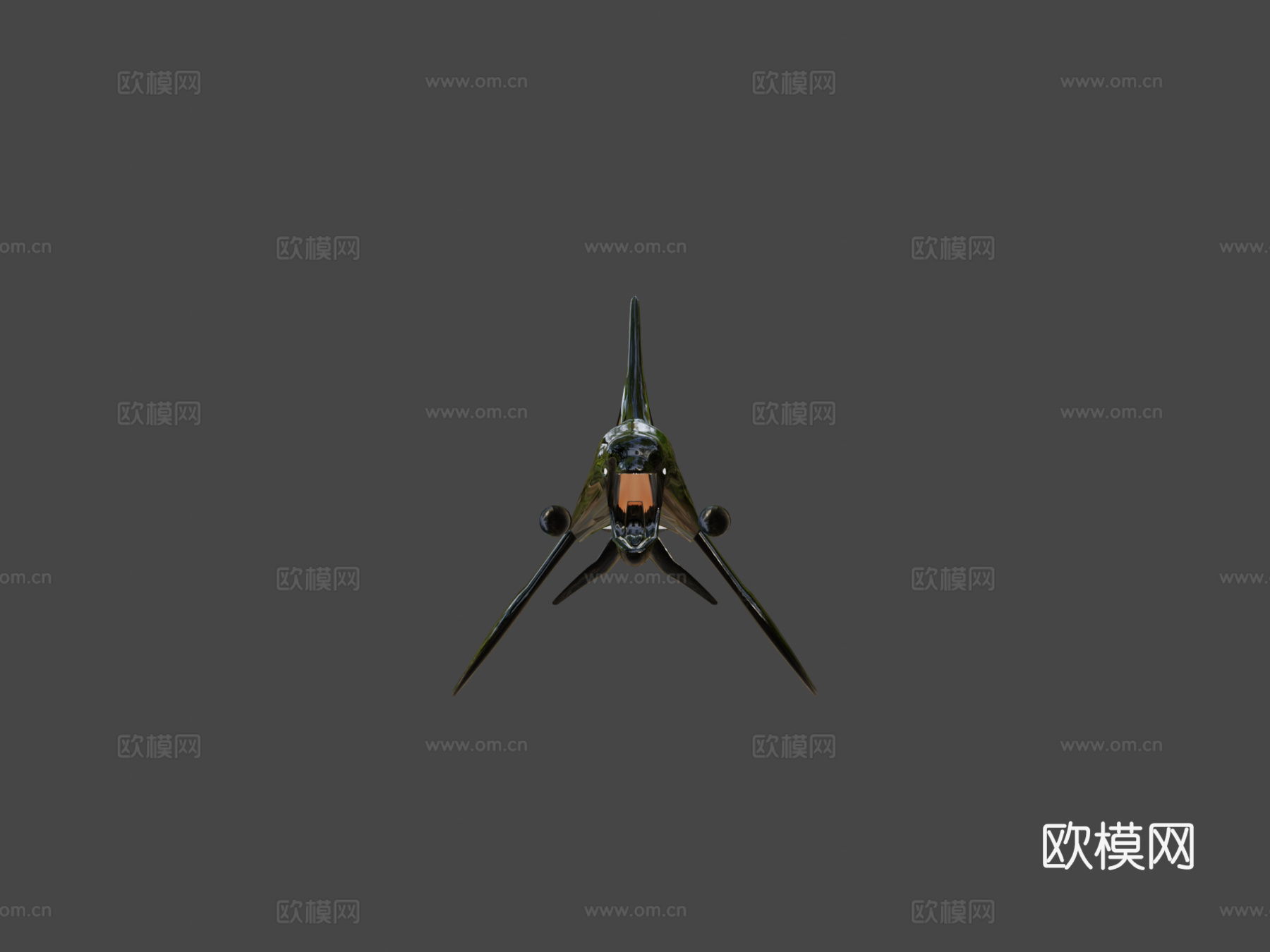 虎鲸3d模型