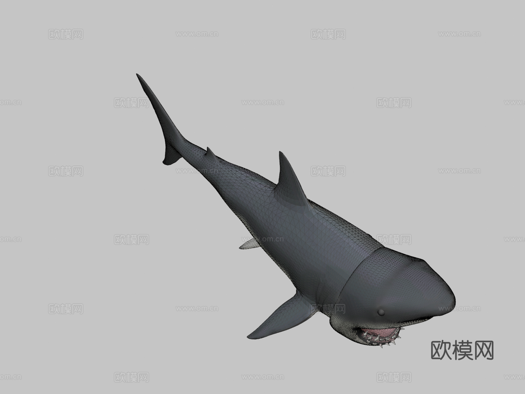 大白鲨3D模型3d模型