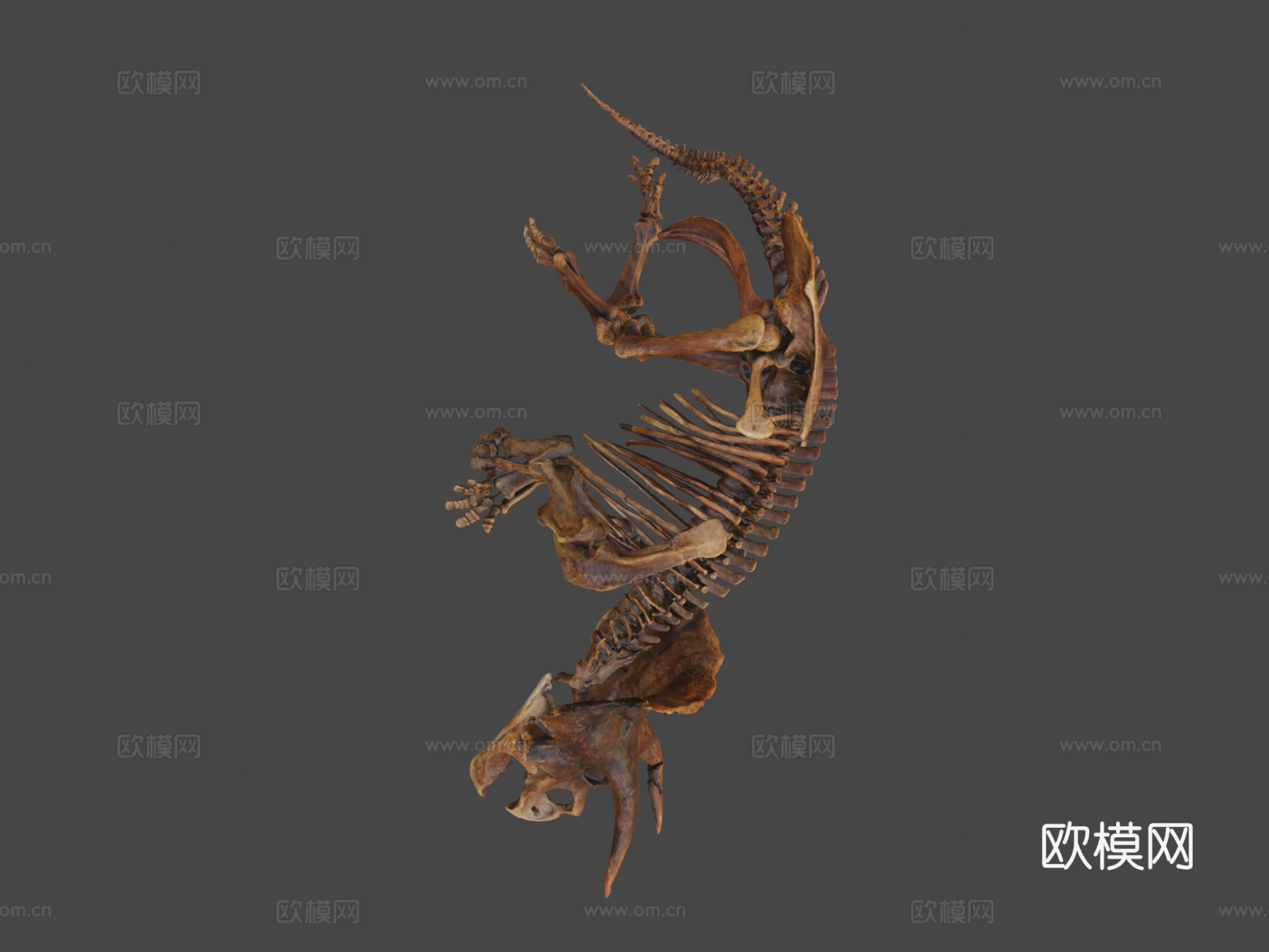 三角龙恐怖沼泽种3d模型