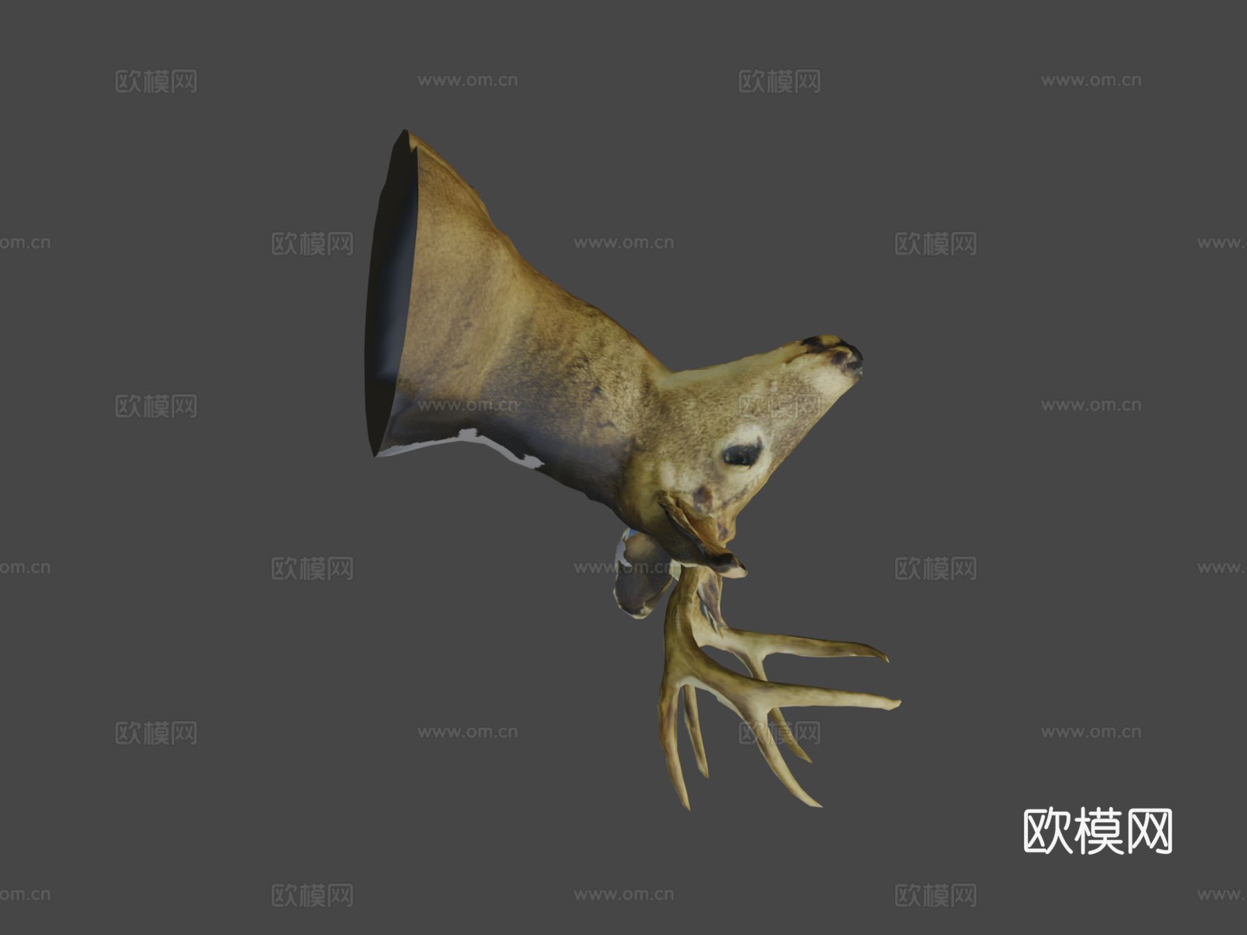 鹿首3d模型