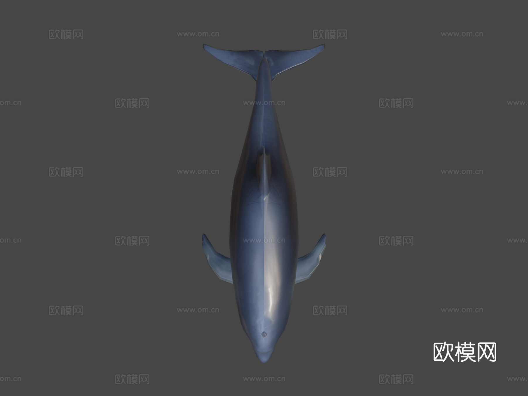 游戏级海豚3d模型