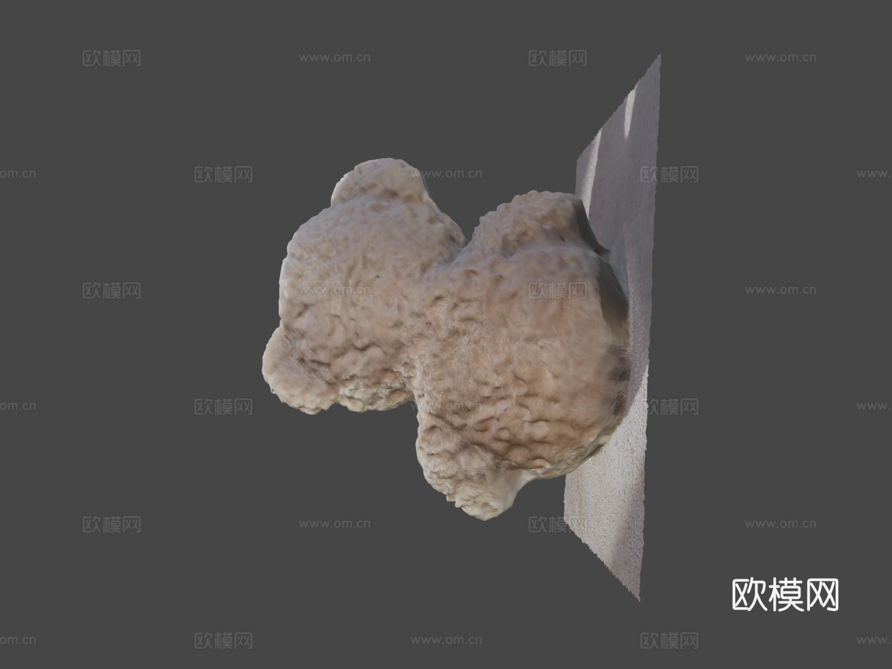 泰迪熊(3D扫描)3d模型