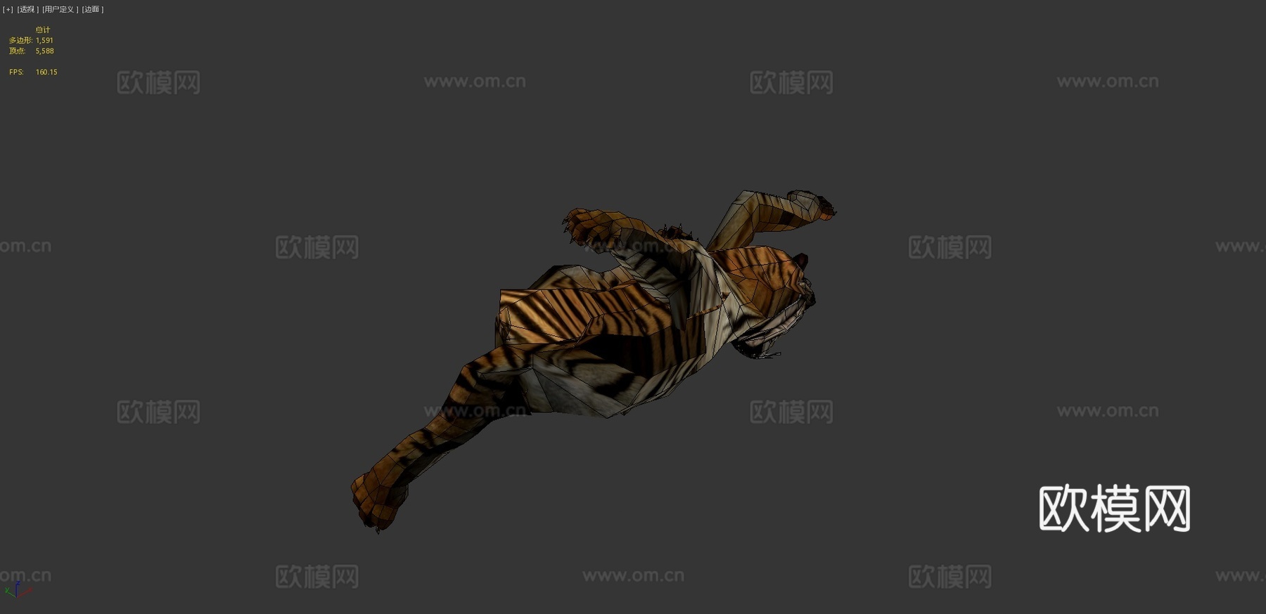 老虎3d模型