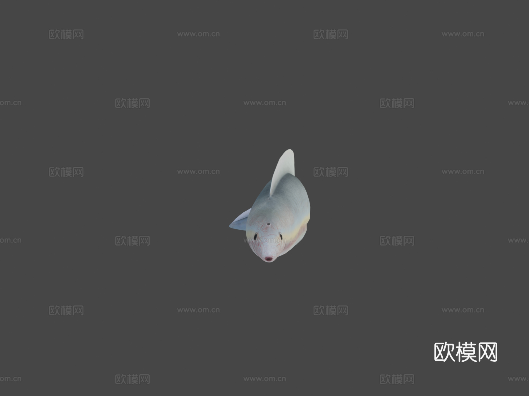 丰娇昆明鱼3d模型