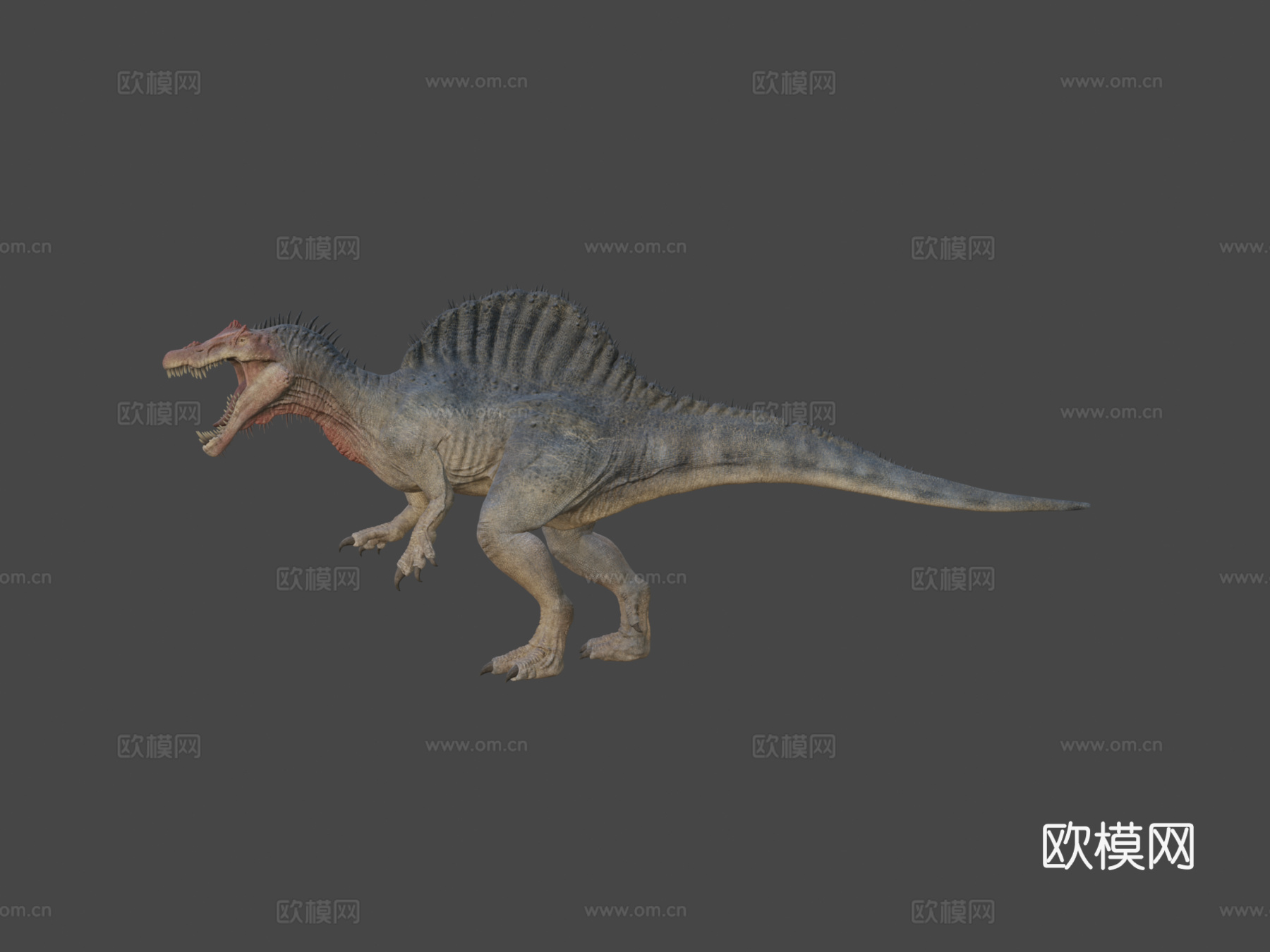 棘龙3d模型