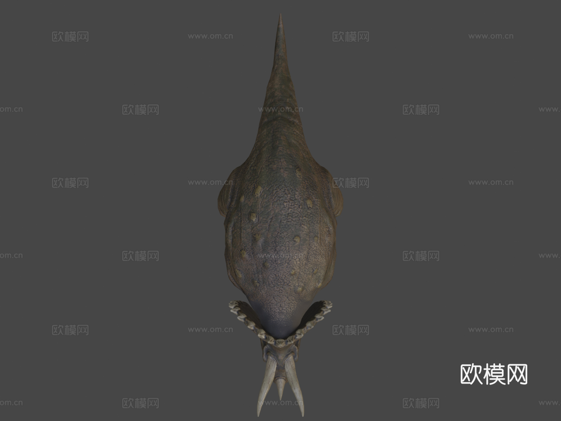 三角龙恐龙3d模型