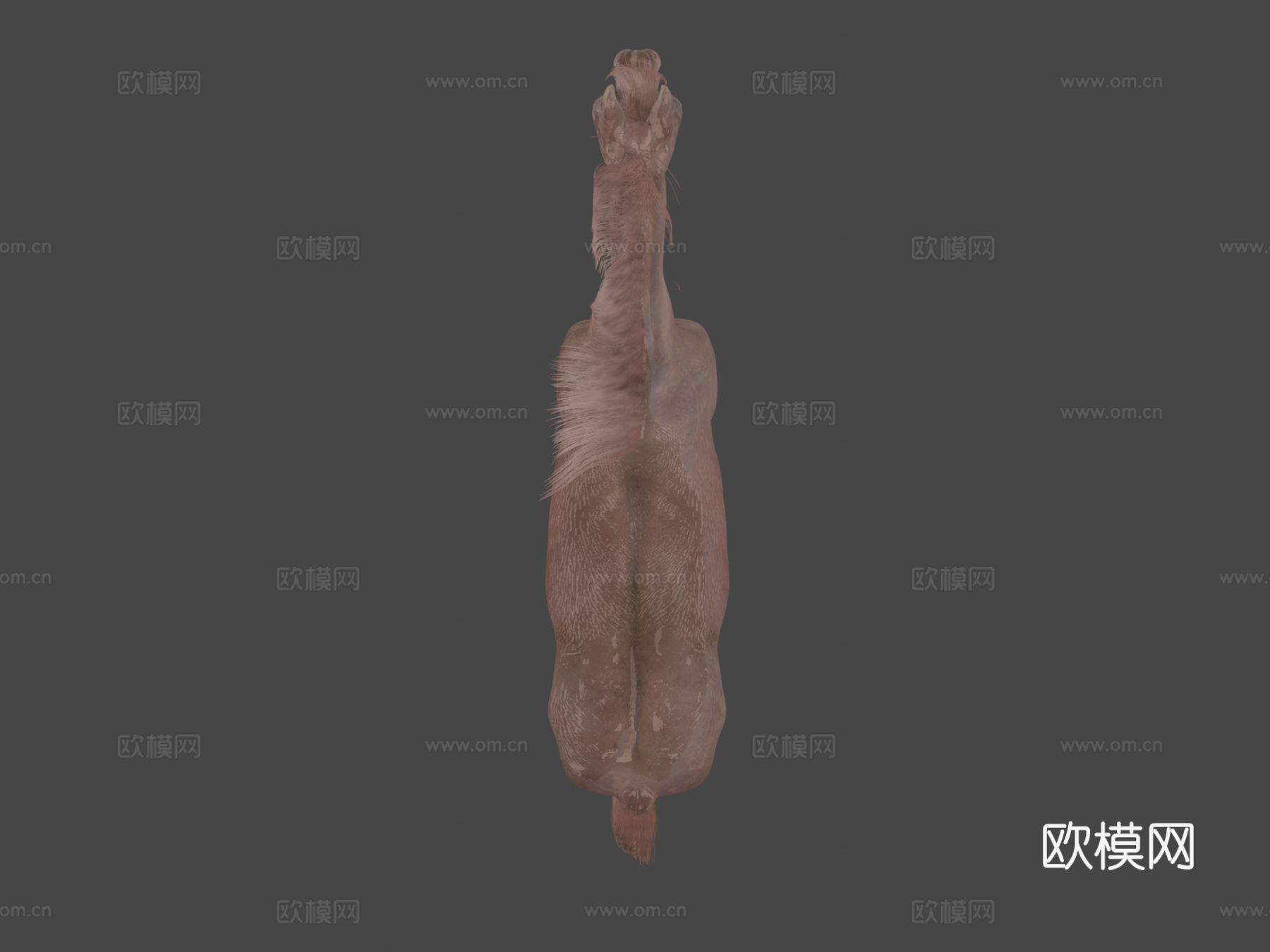 马3d模型