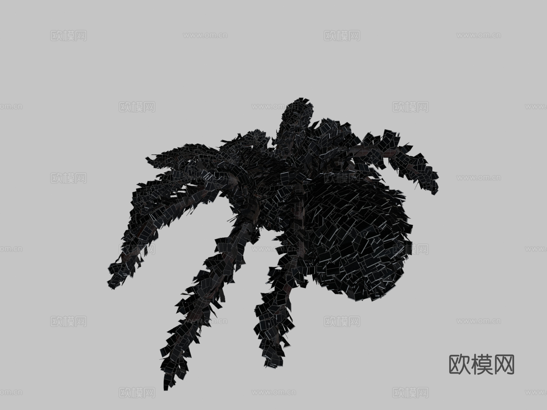 蜘蛛-狼蛛含动画3d模型