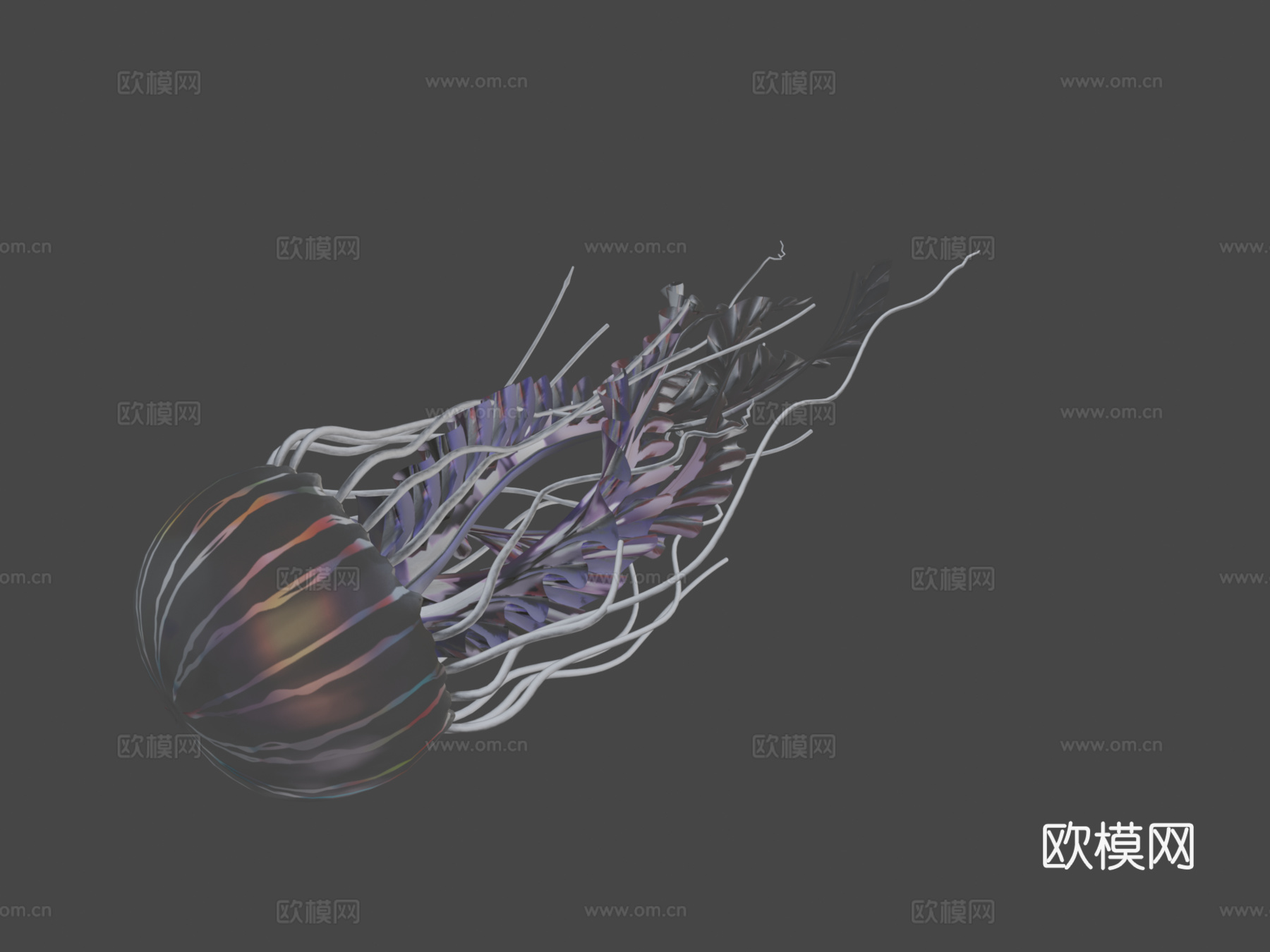 水母_0013d模型