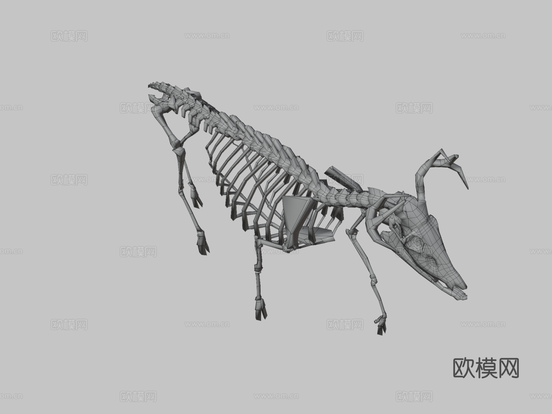低多边形鹿骨架3d模型