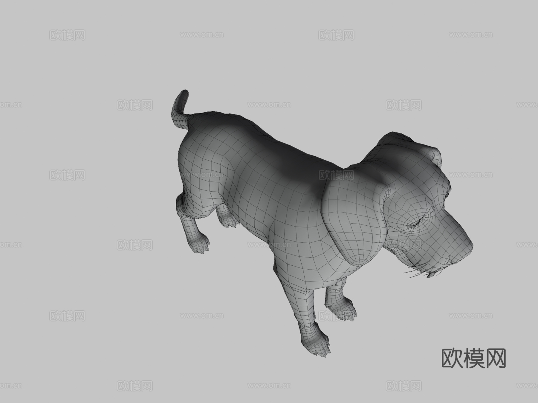 狗-比格犬3d模型
