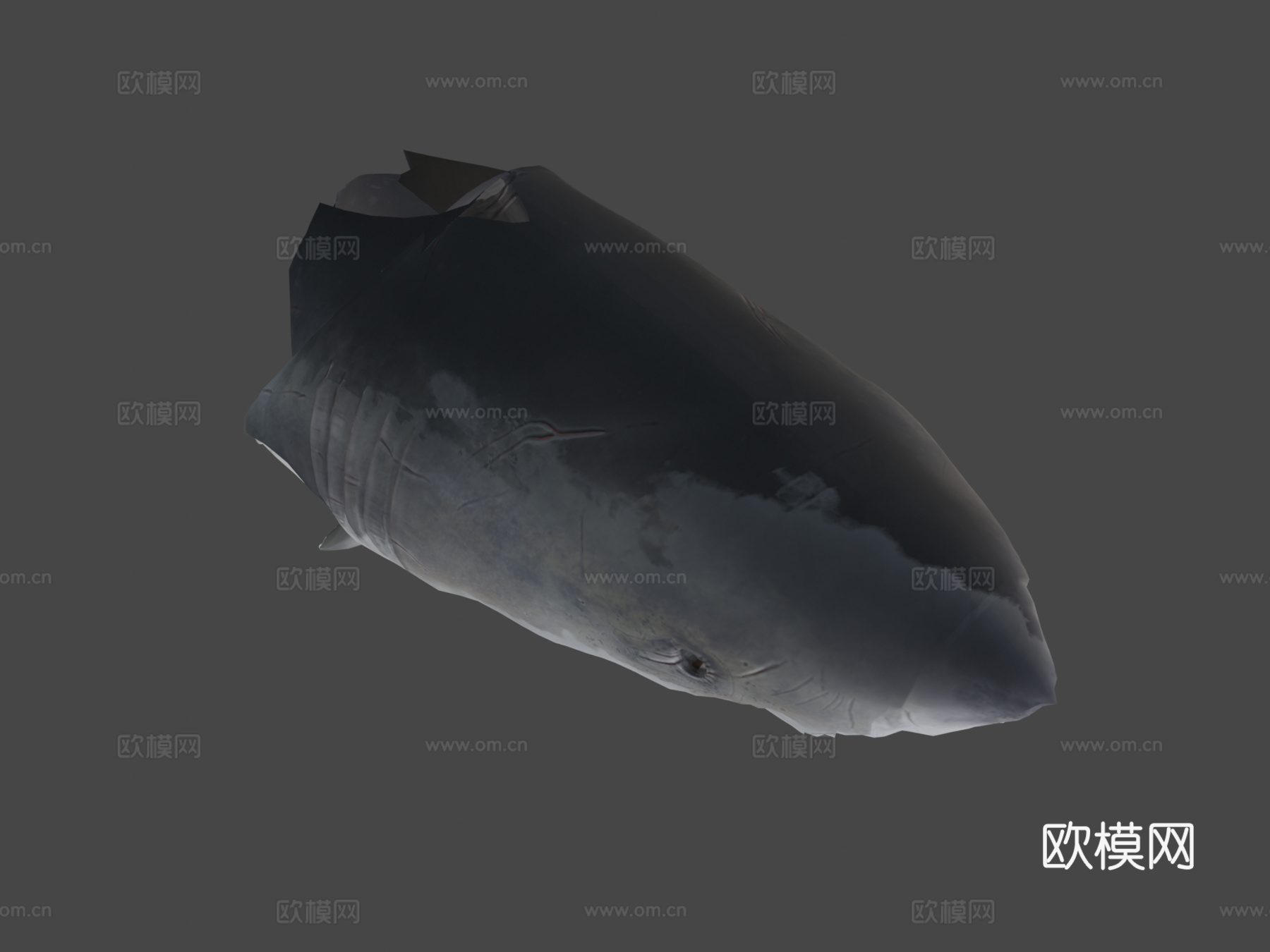 动画游泳大白鲨循环3d模型