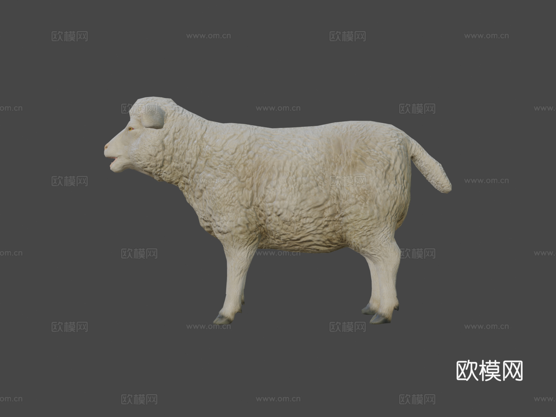 绵羊动画3d模型