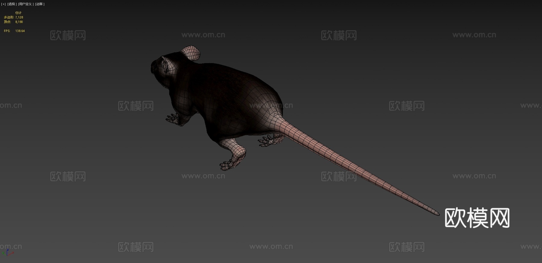 老鼠3d模型