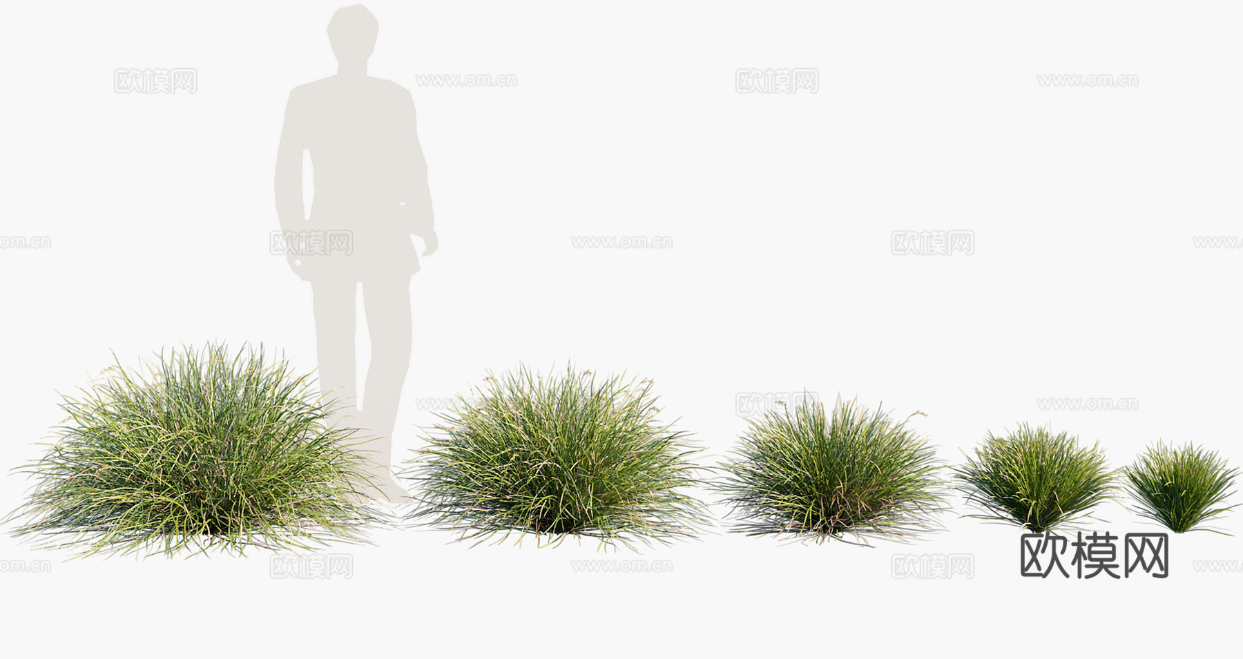 花草 草丛3d模型
