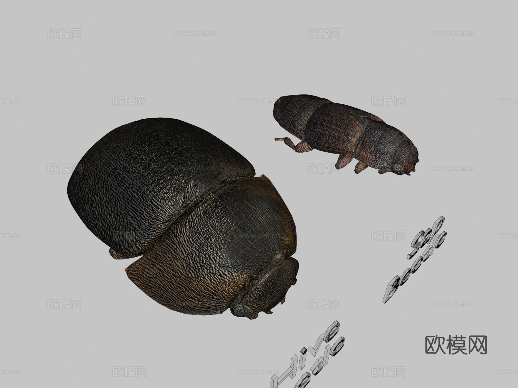 树汁与蜂甲虫对比3d模型