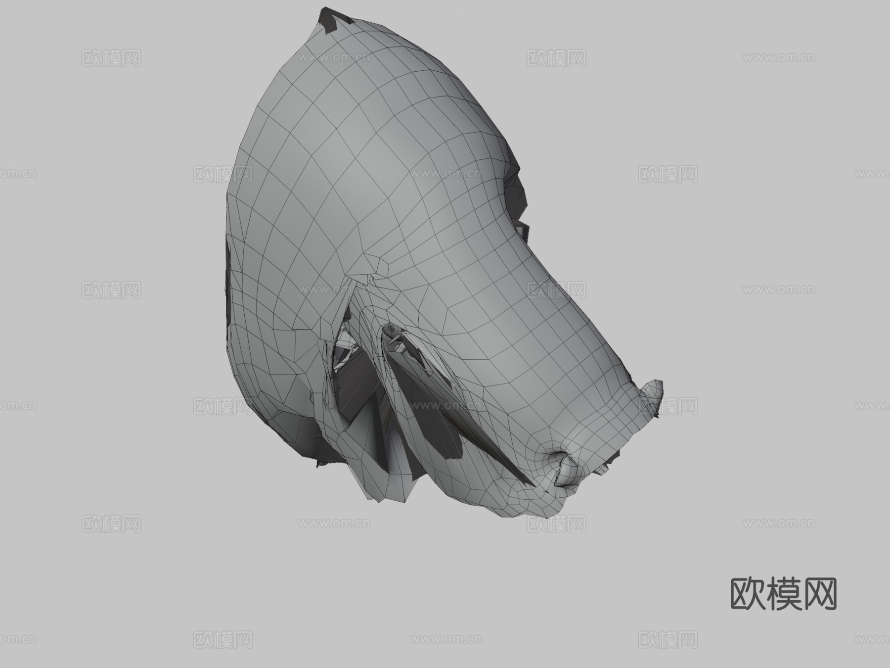 锦鲤-红白3d模型