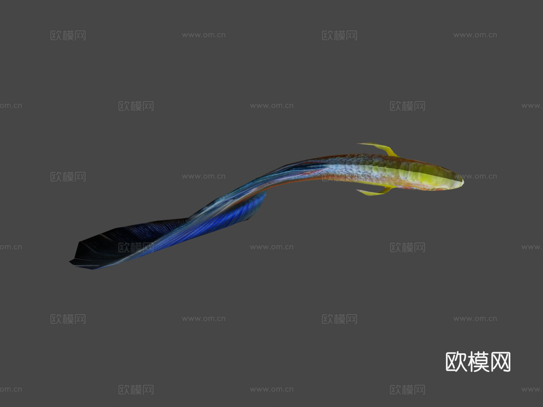 孔雀鱼动画3d模型