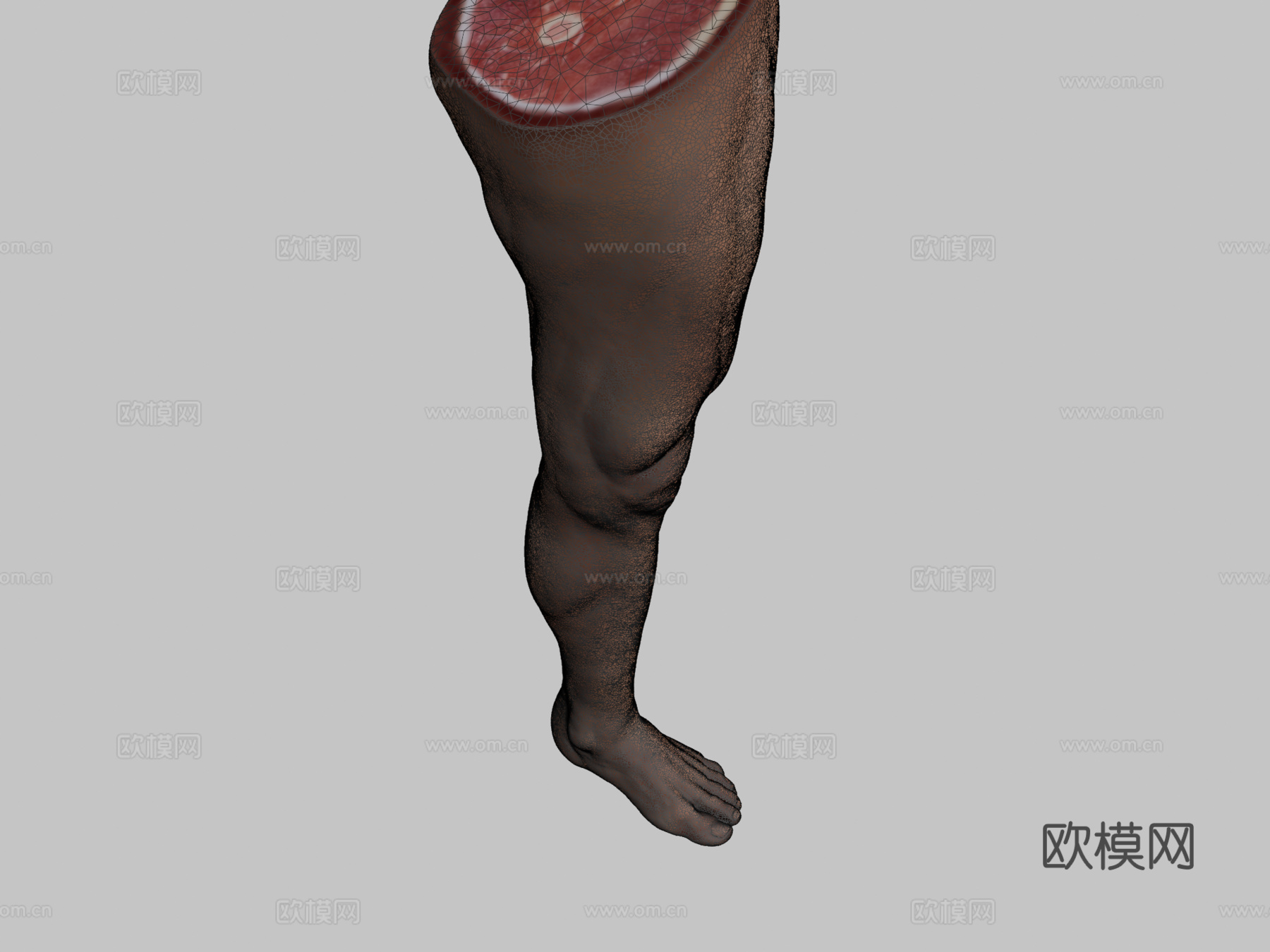 腿3d模型