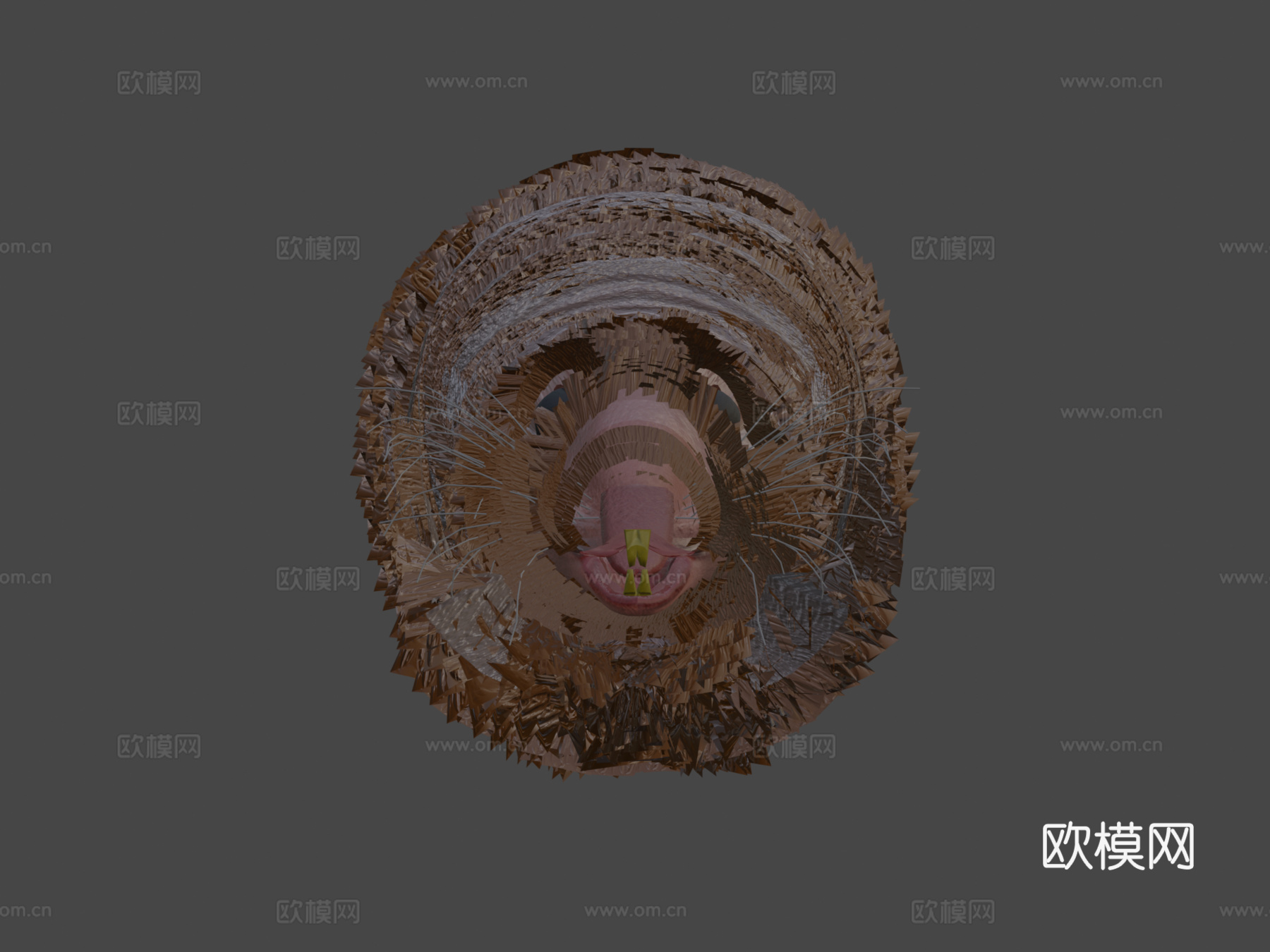 老鼠绑定动画PBR实时毛发3d模型