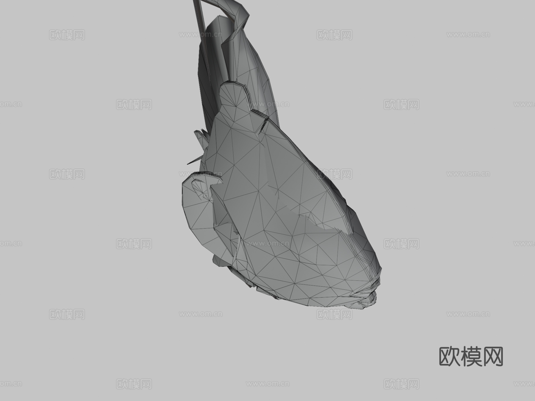 热带鱼群游动动画循环3d模型