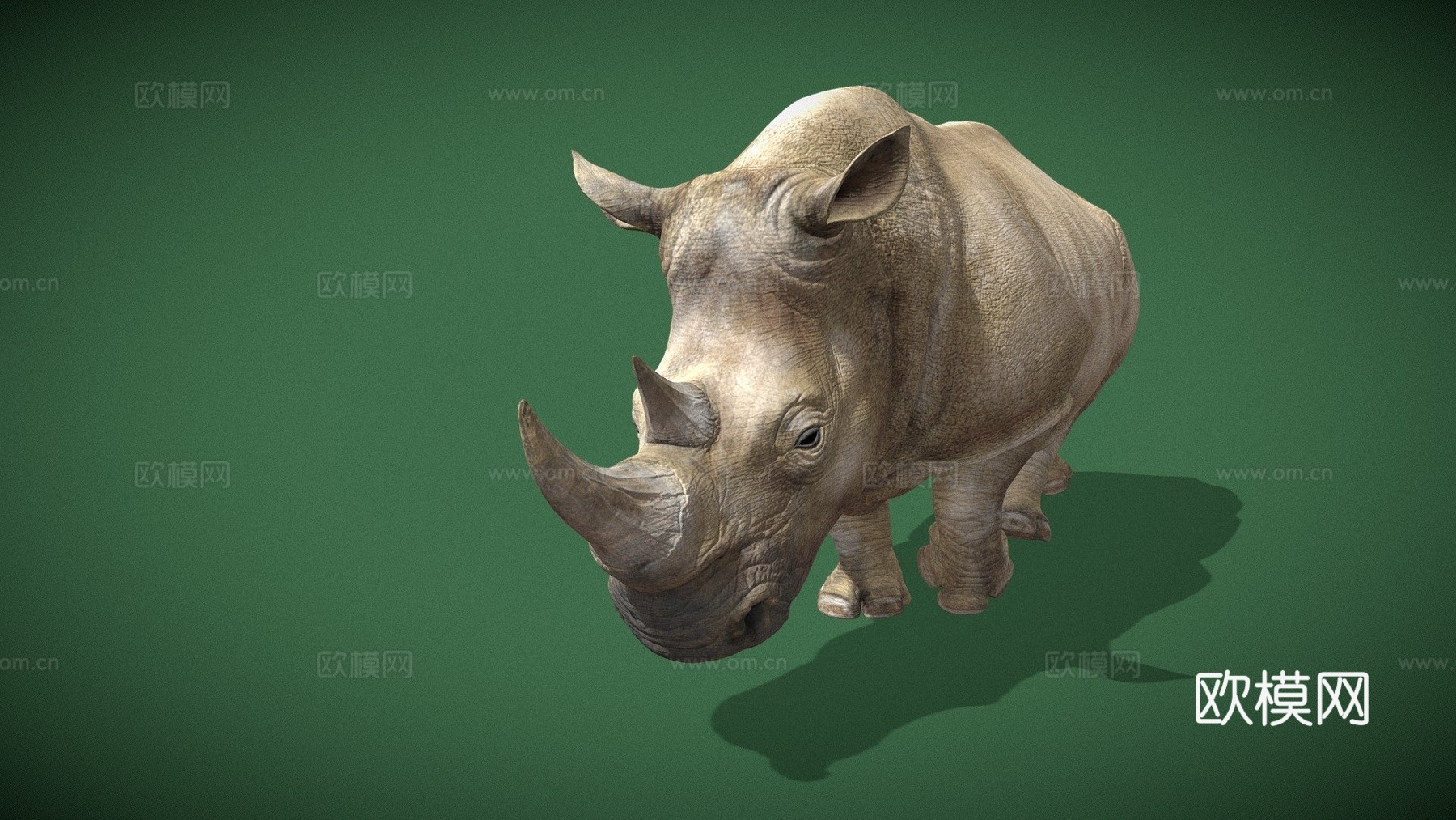 动画犀牛行走动物循环3d模型