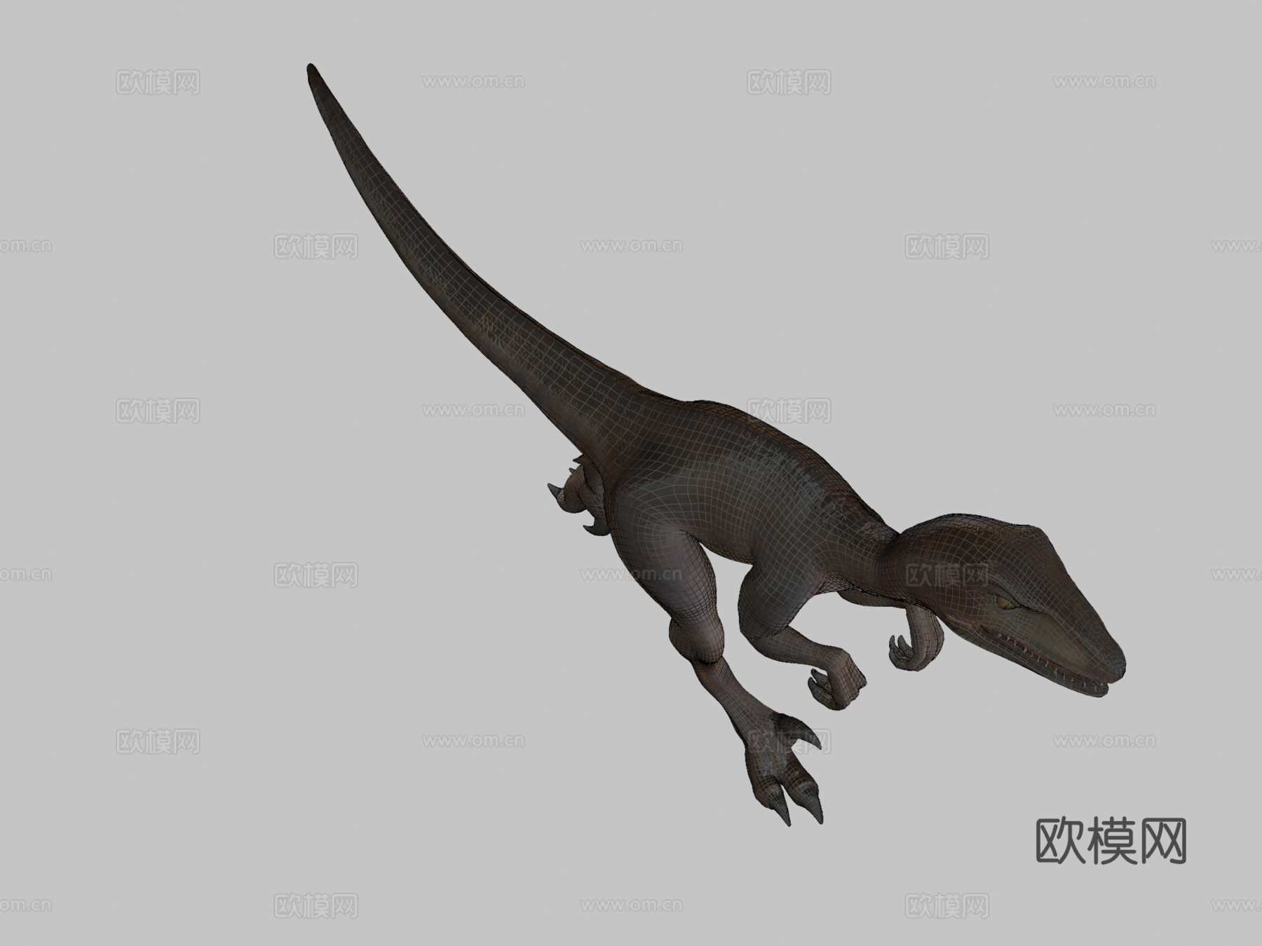 迅猛龙3d模型
